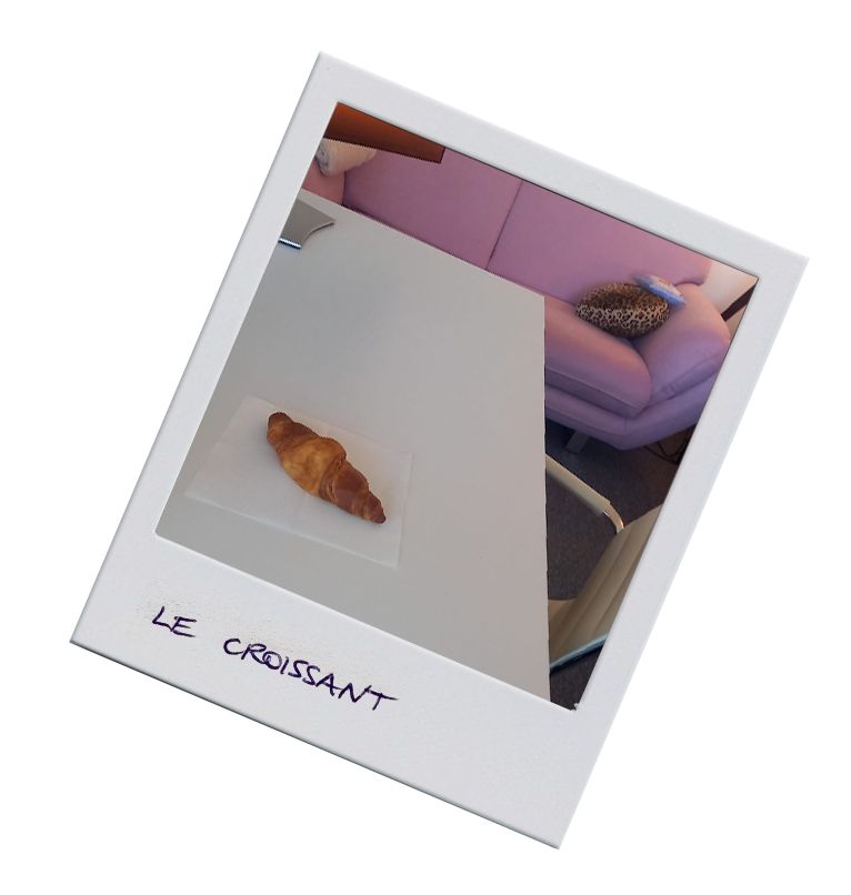 Polaroid4